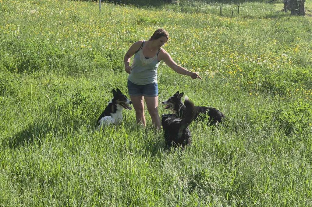 Jessica Hundetrainerin