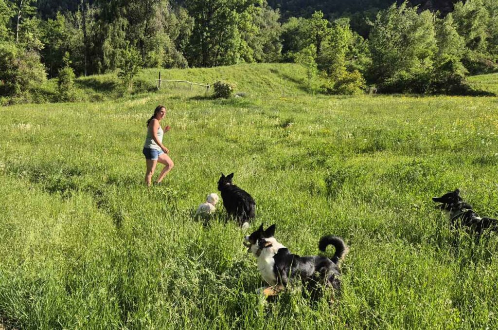 Jessica Hundetraining